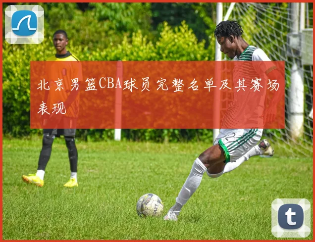 北京男篮CBA球员完整名单及其赛场表现