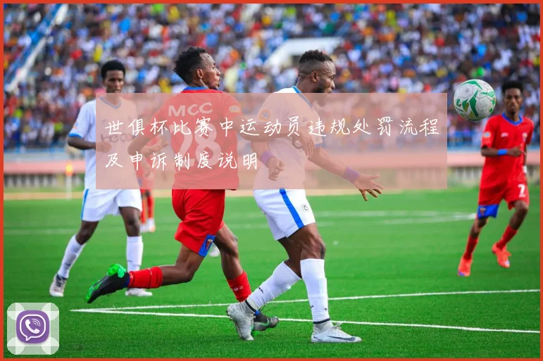 世俱杯比赛中运动员违规处罚流程及申诉制度说明